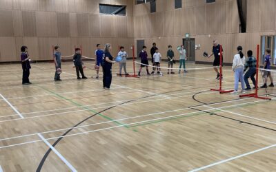 Pickleball Taster Morning