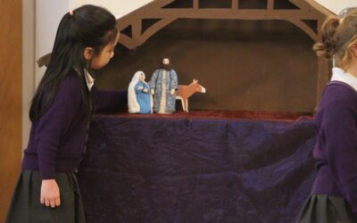 Year 1 and 2 Crib Service