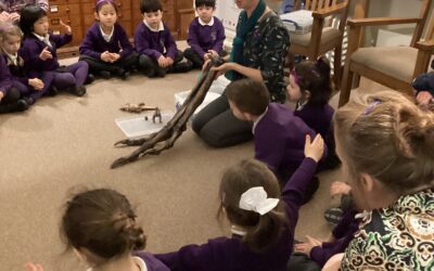 Reception Trip to the Sedgwick Museum