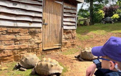 Year 2 Trip to Woburn Safari Park