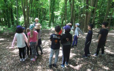 Year 3 Bushcraft Day