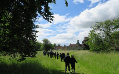 Year 2 Trip to Wandlebury