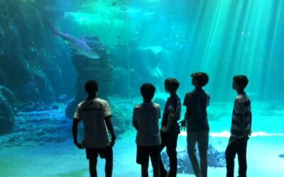 Year 8 Activities Week