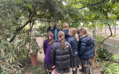 Year 5 Humanities Trip to the Botanic Gardens and Cambridge Synagogue