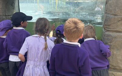 Year 2 Trip to Woburn Safari Park