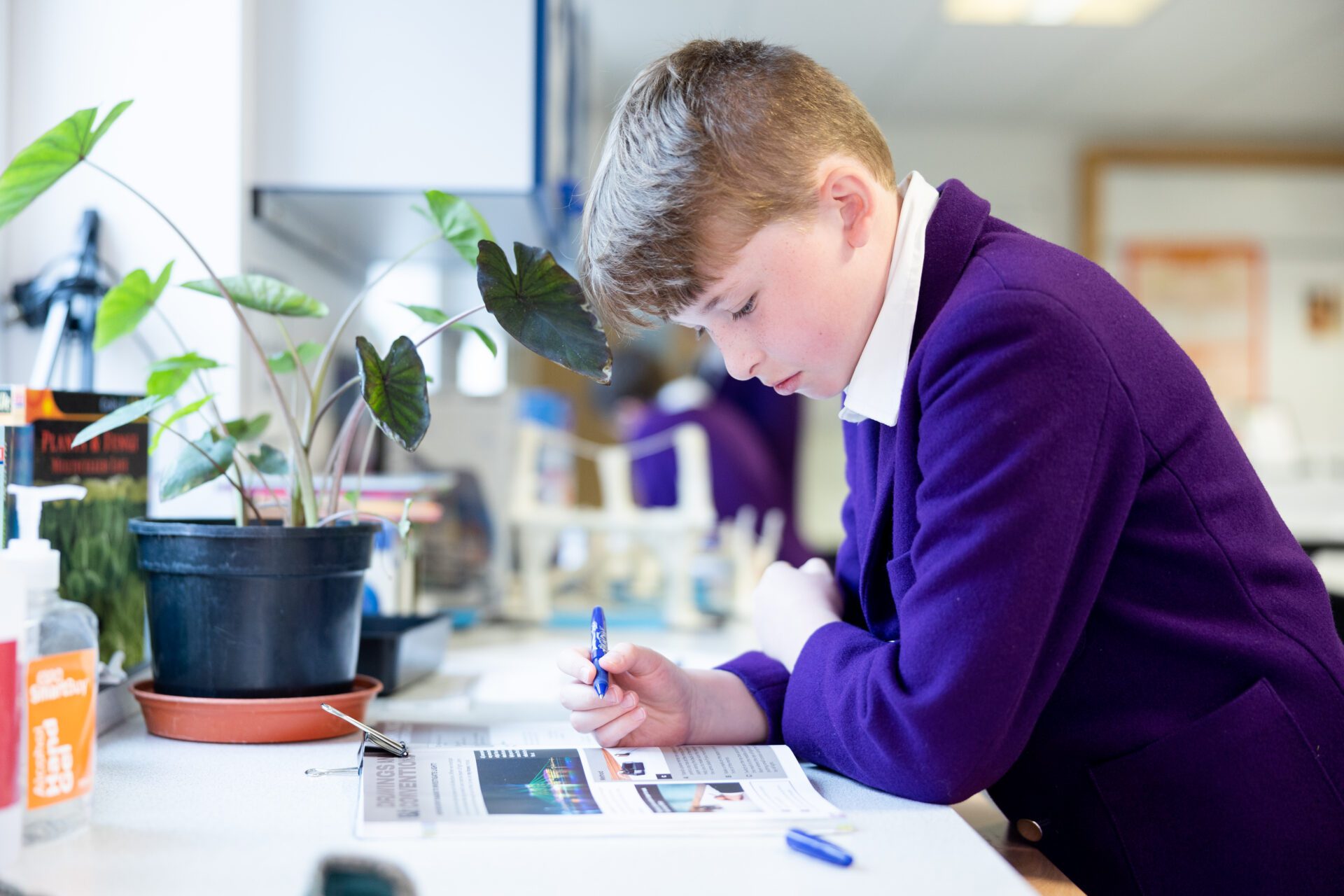 Traditional Education